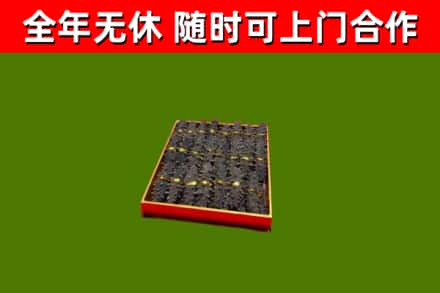 济宁回收海参